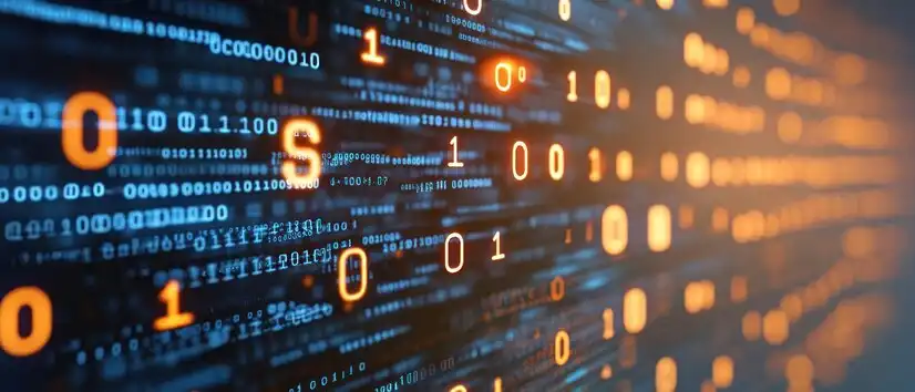 The secret to the success of your website application
