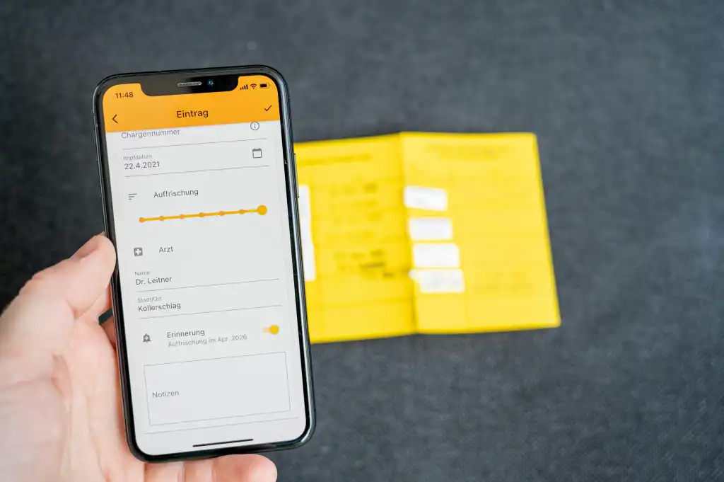 لماذا يُعتبر تصميم قاعدة البيانات أهم من واجهة الاستخدام في المشاريع المليونية